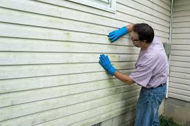 Professional Siding Installation & Repair in Passapatanzy, VA